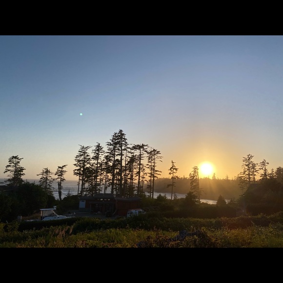 Meet your Posher, Liz - Picture 1 of 1